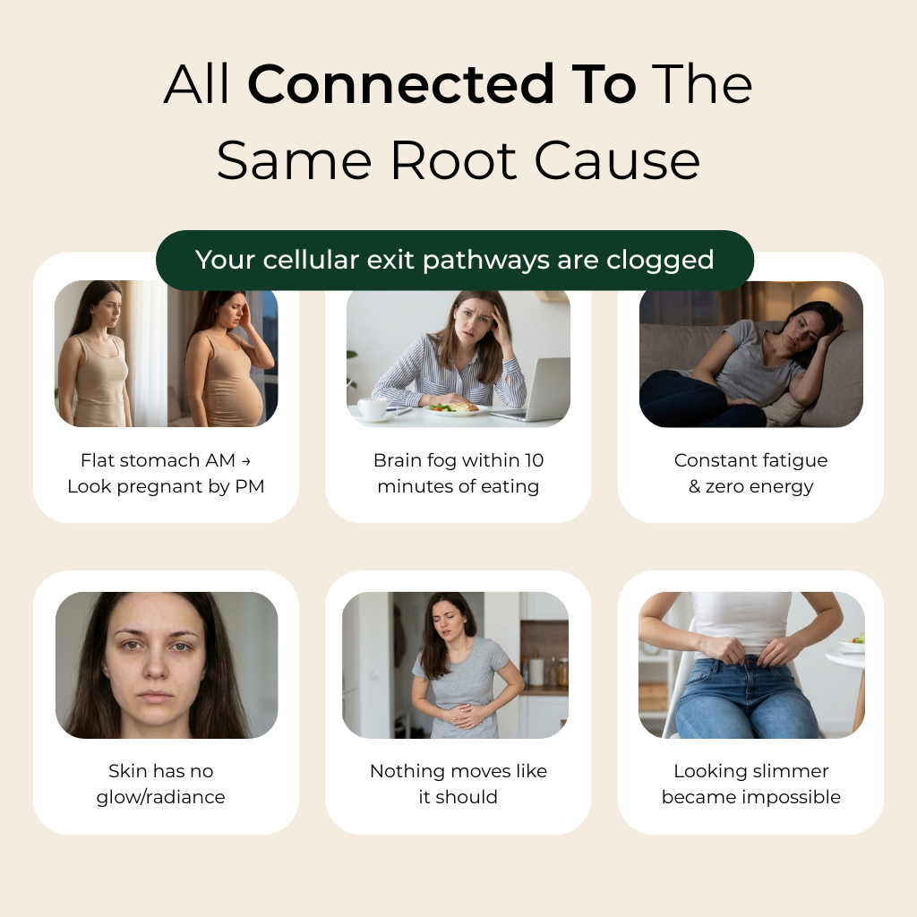 Maximum Potency Formula - Cellular Cleansing Spirulina Tablets by AVIV™